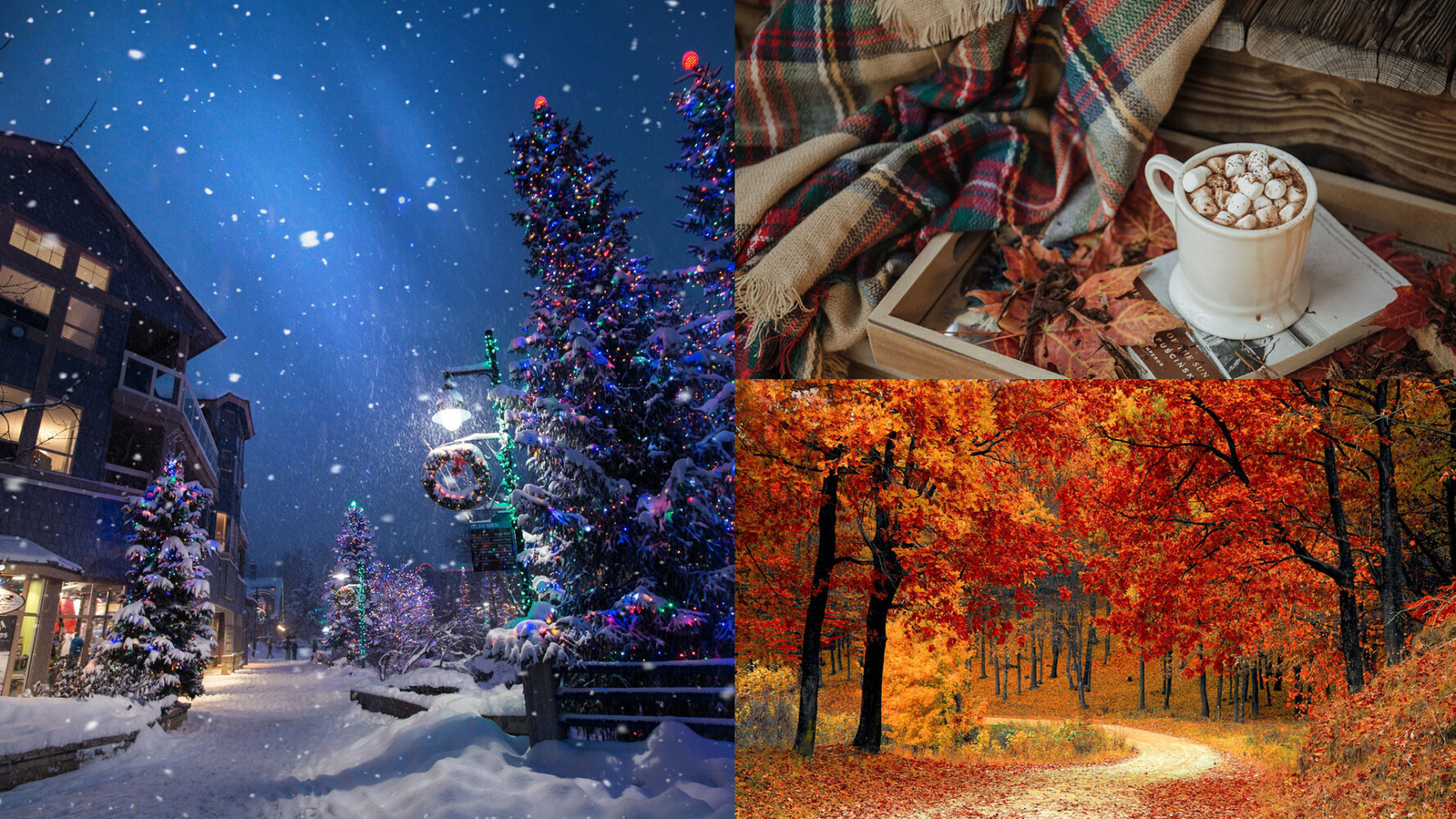 winter colors - night winter scene christmas hot cocoa plaid blanket and road in autumn with orange leaves