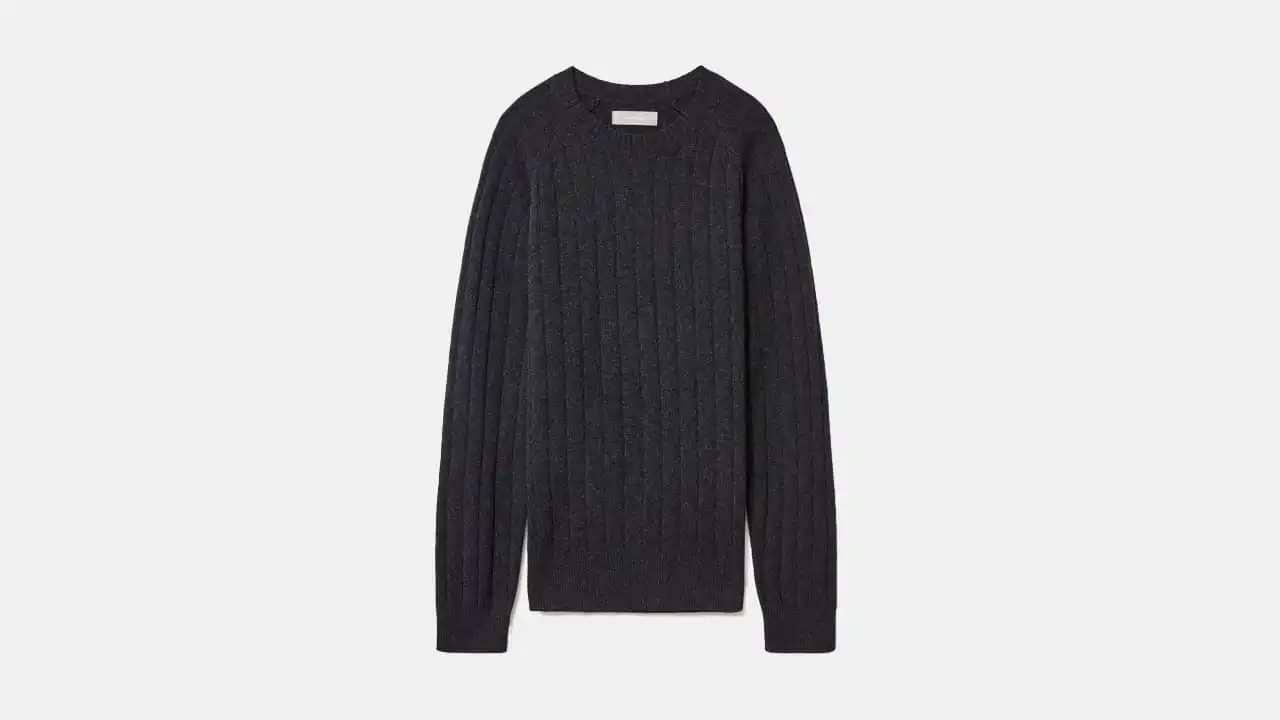 Everlane Felted Merino Wool Sweater