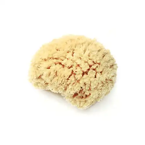 LATHER Natural Sea Wool Sponge