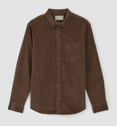 Everlane Relaxed Corduroy Shirt in Cocoa